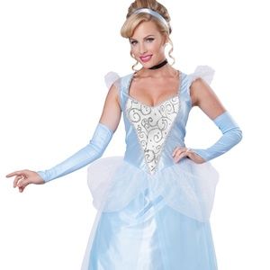 Cinderella Costume-Halloween Costume-Princess